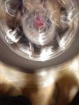 IMG_20180813_164154