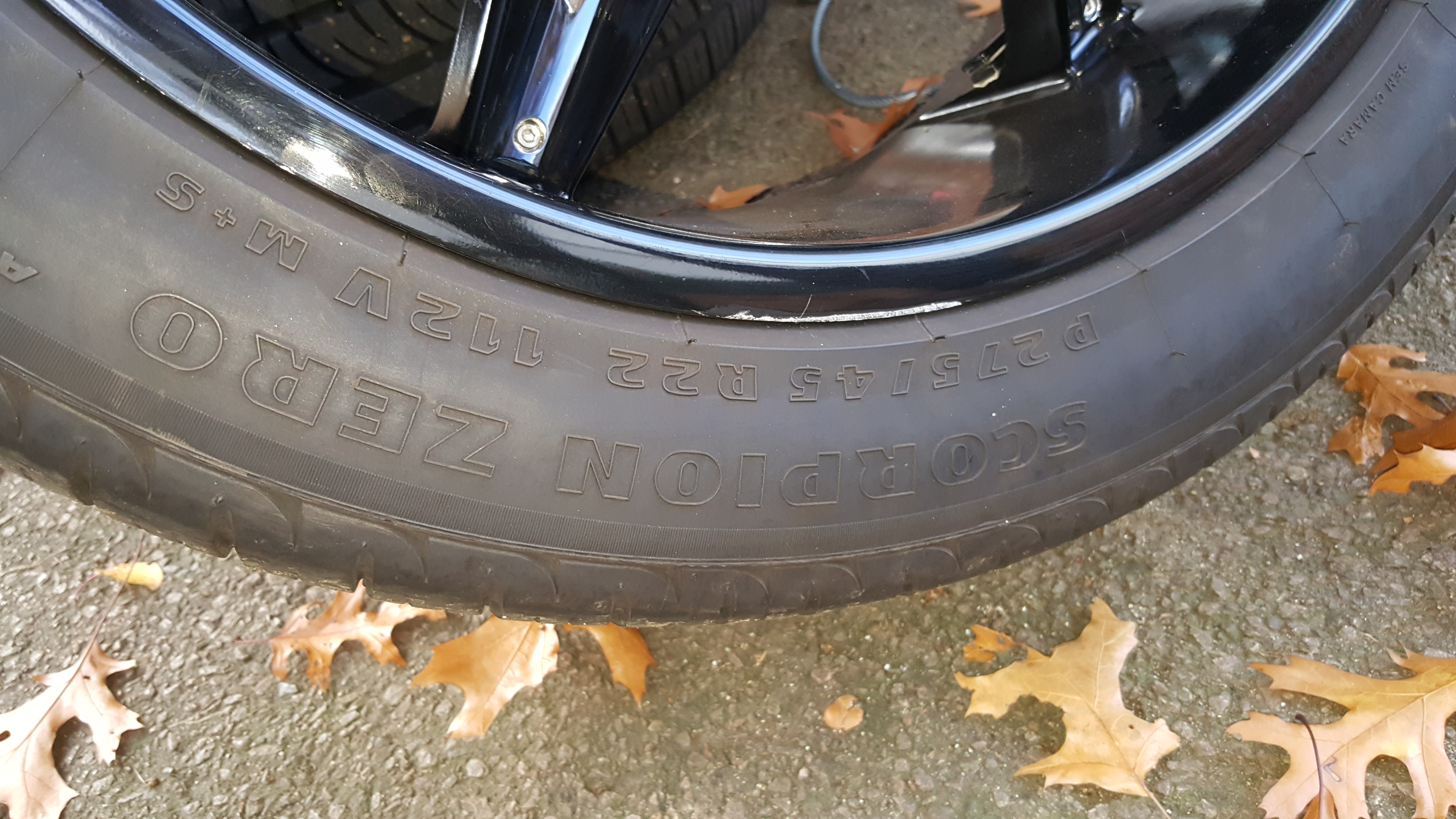 Pirelli1