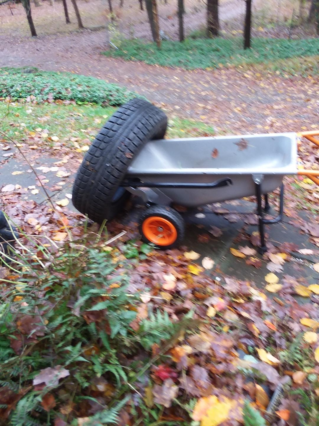 20181103_105654_resized