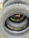 IMG_1301