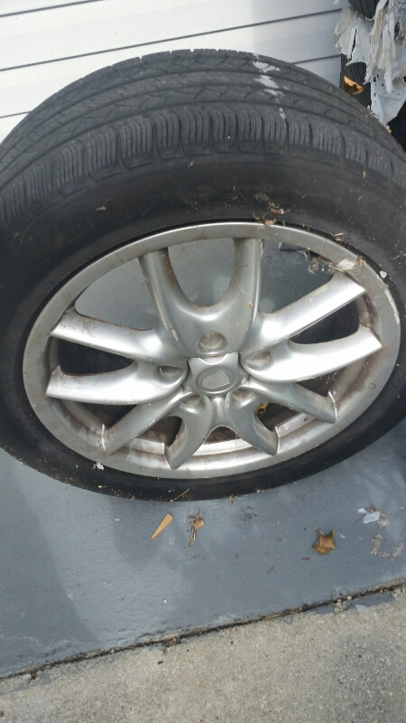 post_image4