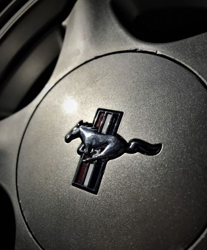Pony
