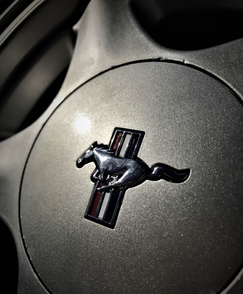 Pony