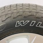 2020dodgepainted18inch-3