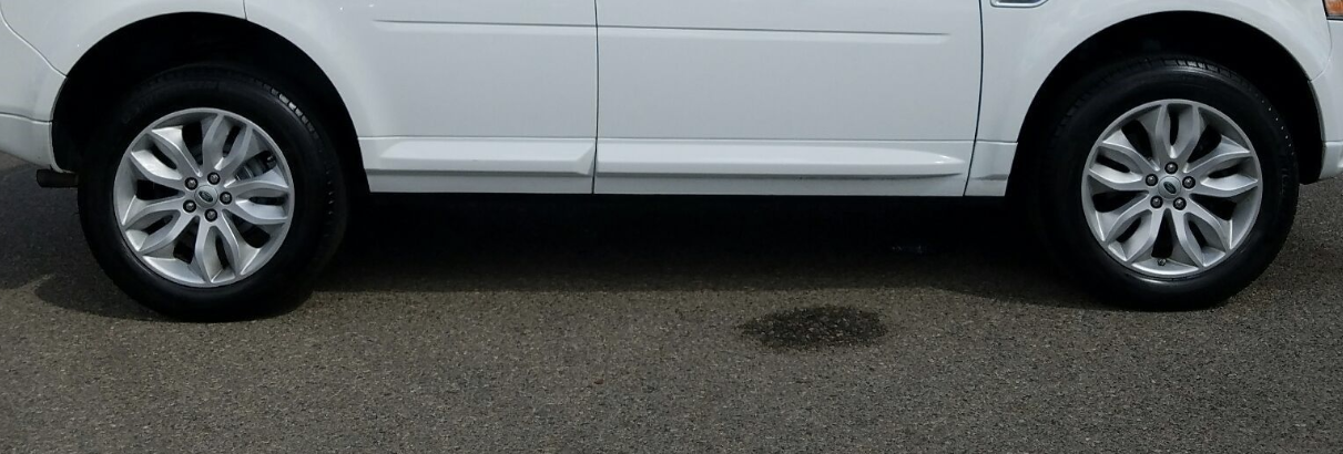 Screen Shot 2019-01-14 at 9.15.00 AM