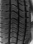 IMG-1251