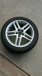 tire 1