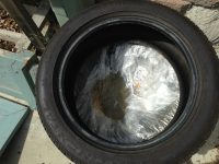 IMG_1266[1]