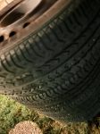 firestone1