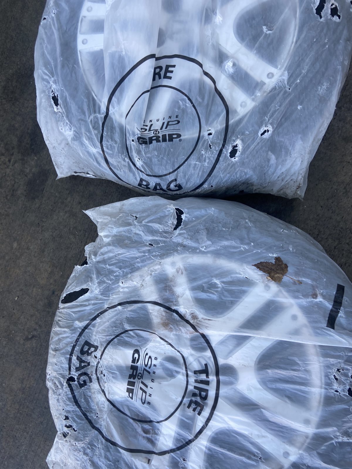 BCC391A7-75D3-4445-9B0E-5D5A974C7223