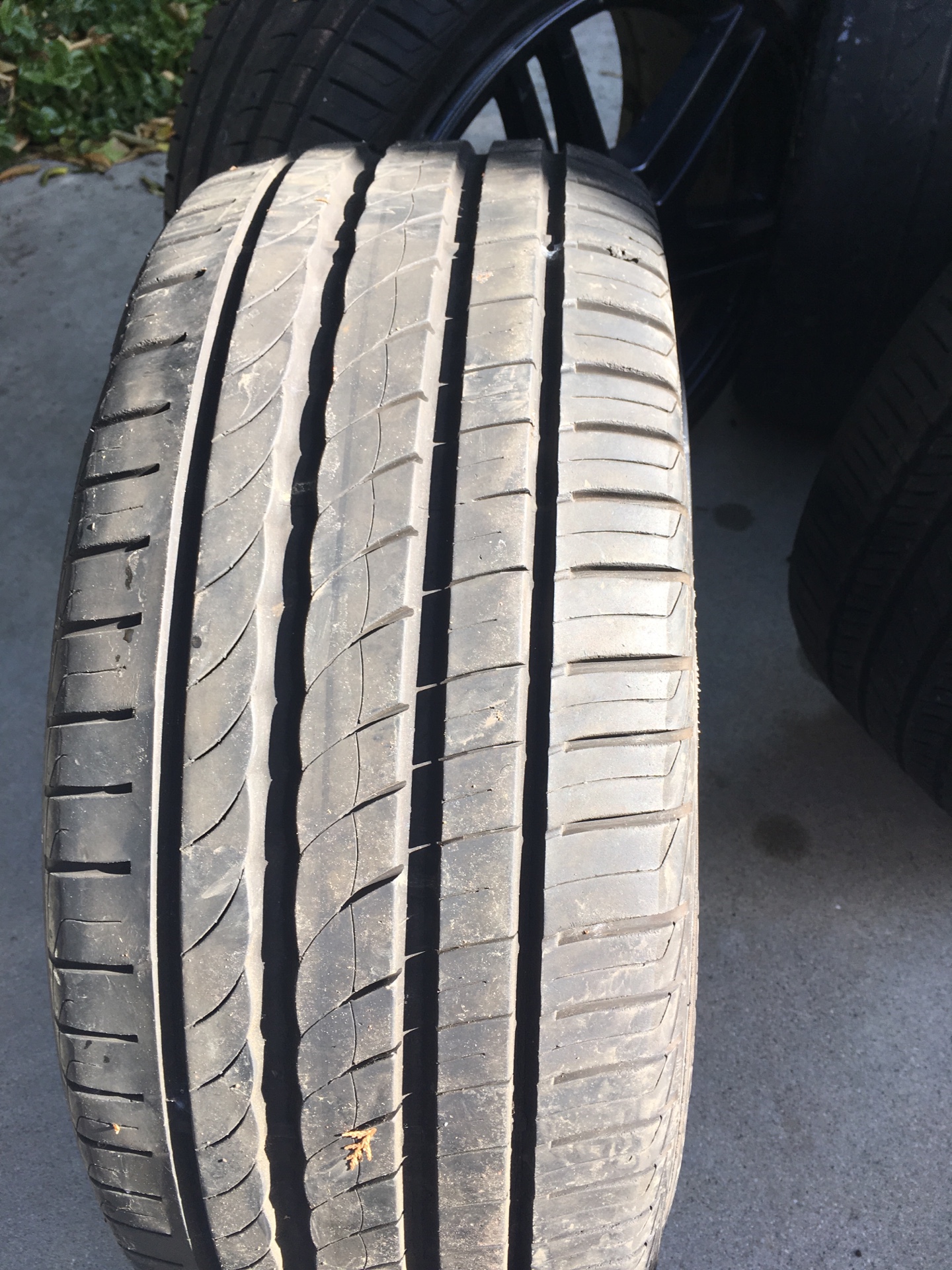 image-18-12-18-04-38-1