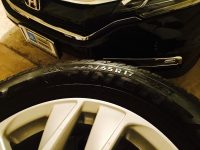 IMG_3549