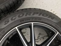 Scorpion Detail