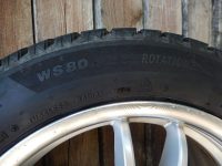 Winter Tire