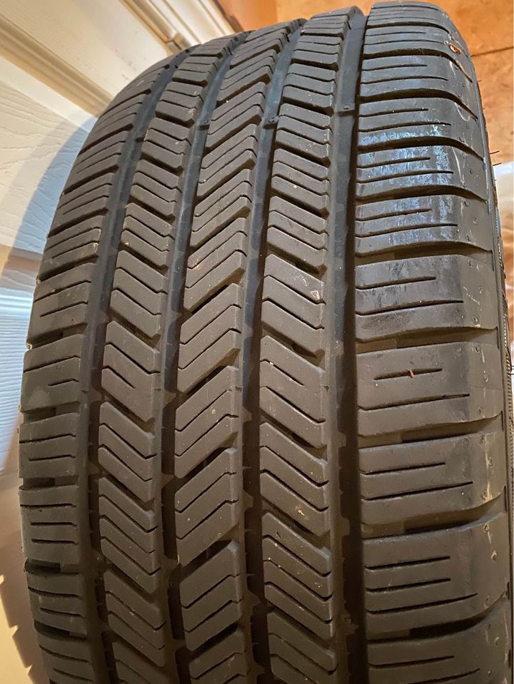 171963810_10224878384450870_7274775840152655731_n