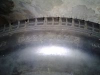 KIMG0249