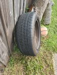 Bonus Tire