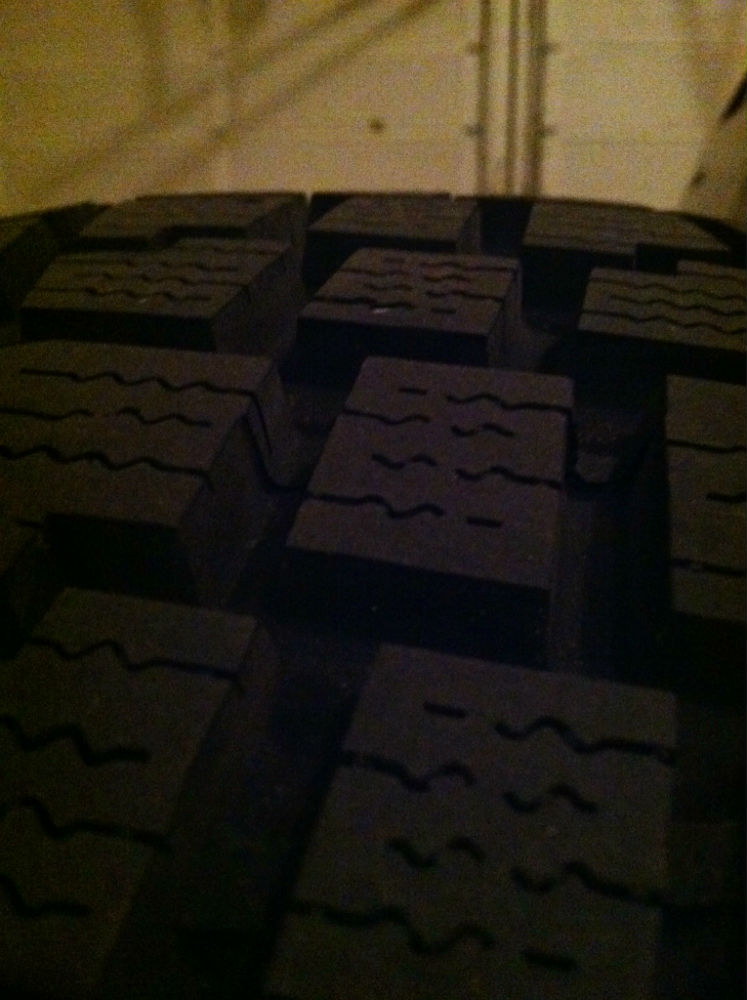 photo 1 (4)