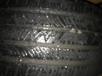 IMG_4686