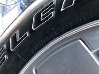 IMG_8422