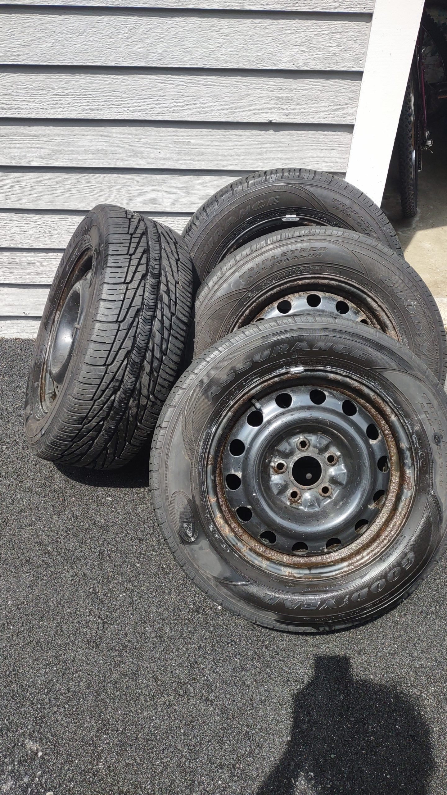 IMG_20230715_134837157