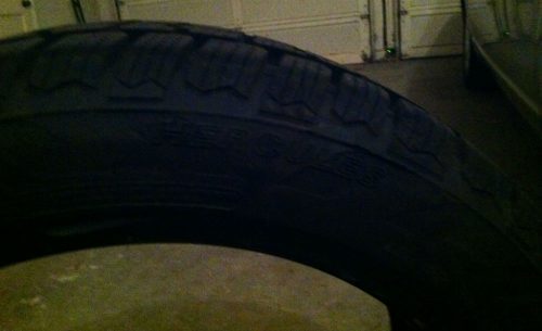 photo 3 (4)