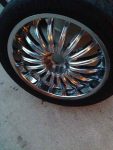 rims1